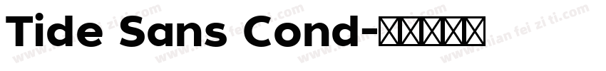 Tide Sans Cond字体转换